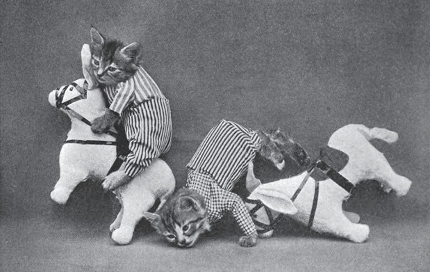 BuzzFeed's tweet photo. 50 Adorable Vintage Cats Who Will Satisfy Your Old Soul http://t.co/osJLK7a8xU http://t.co/O8GRBWLUwf