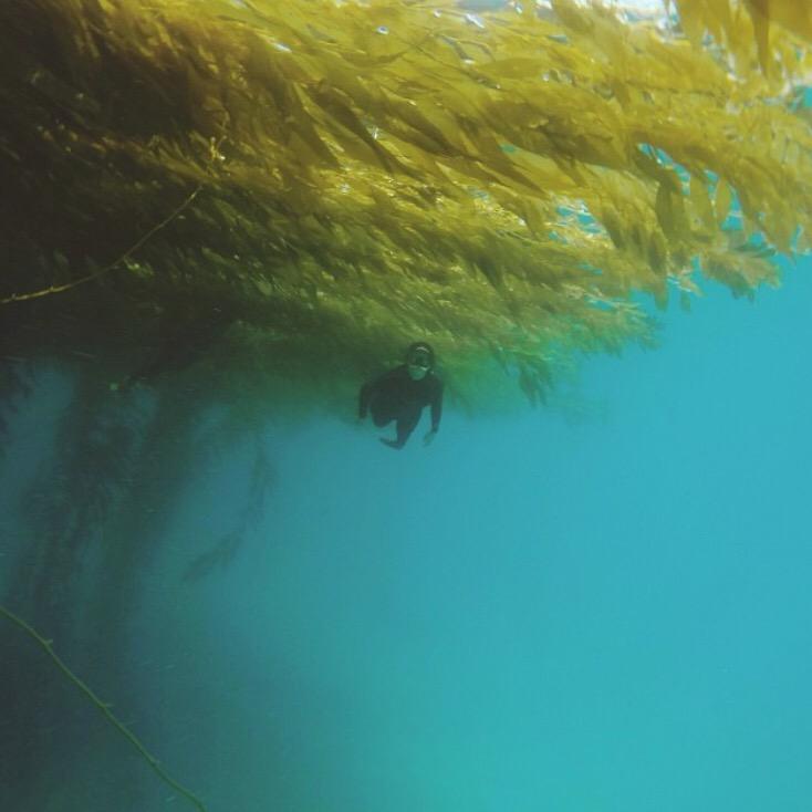 jack_swanson93's tweet photo. The deep blue http://t.co/kvNTTlUad8