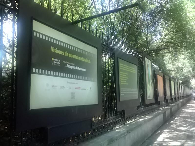 museofranzmayer's tweet photo. “@ChapultepecCDMX: "Visiones de nuestra naturaleza" en el Paseo de la Reforma http://t.co/zTLHcmprtK” <- #TodosVayan 🐊🌷