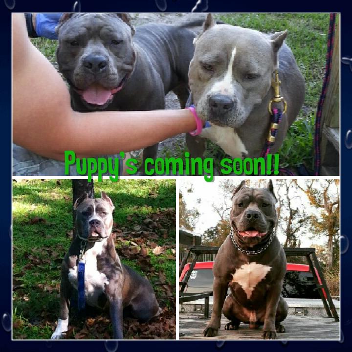 hunt_gmail's tweet image. Can't wait!