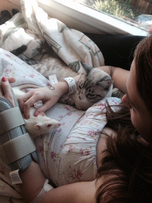 Finally out of the hospital. Getting cuddles from my two favorite boys. http://t.co/R8YGS60AJm<a href="/tag/sexy"class="tags"><span>#sexy</span></a><a href="/tag/reddress"class="tags"><span>#reddress</span></a>