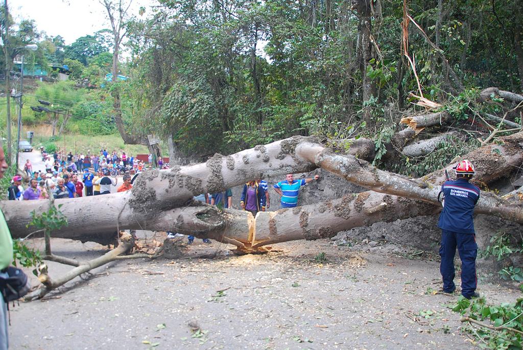 EMERGENCIAS CARRIZAL FARITH FRAIJA ALCALDE tweet media