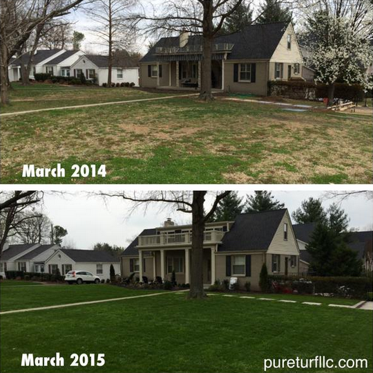 Holganix's tweet photo. @PureTurf has got it going on! Check out this before and after shot. #turf @lawncare http://t.co/R47SFiMiPo