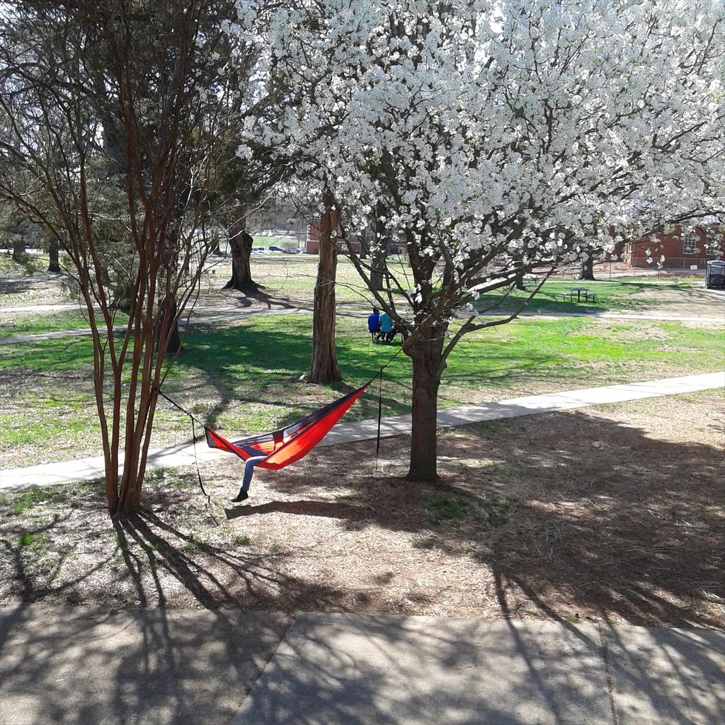 OakwoodU's tweet photo. A student enjoys a short break on a beautiful Spring day. #oakwood_rys15 don't forget to vote today! http://t.co/IqBVDhNAzN