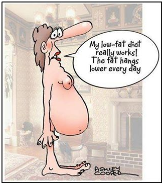 cassiedotNET's tweet photo. Because low fat diets WORK. In one way or another... #lowfat http://t.co/wD9kclTjun