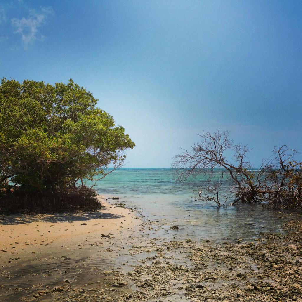 JehanDriver's tweet photo. There's more to travel than follow #IncredibleIndia #questexpeditions #LifeintheDeepSouth http://t.co/dpKIjeANBR