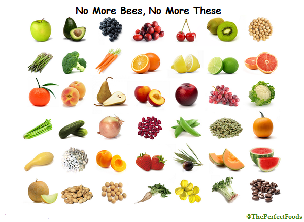 The Perfect Foods🇺🇸 tweet media