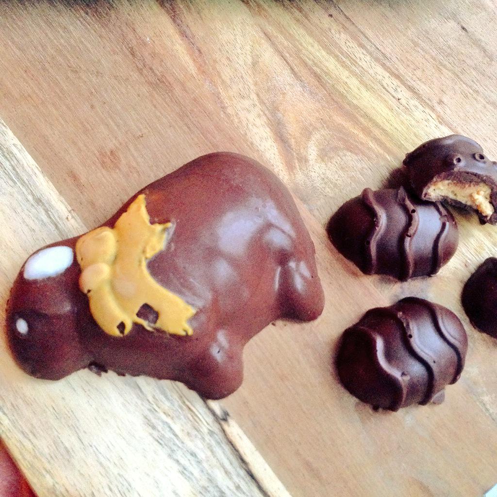 hebeburton's tweet photo. You know something's up when your sheep starts 💩 out eggs😶@BulkPowders #hydrobeef #beepollen #almondbutter #cacao http://t.co/W2sDQDdrI1