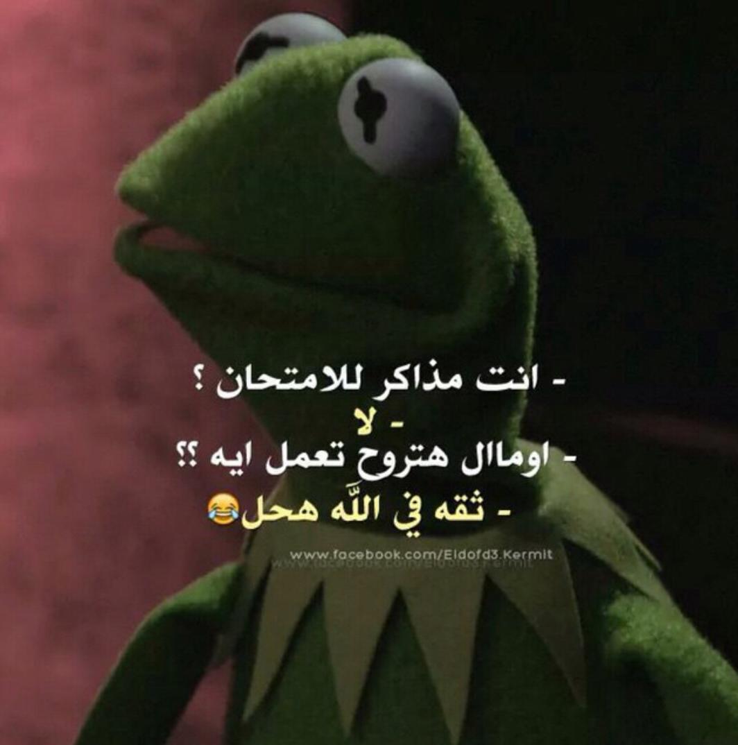 hagerfahmy11's tweet image. إن شاء الله ☝ 😂😂
#math4