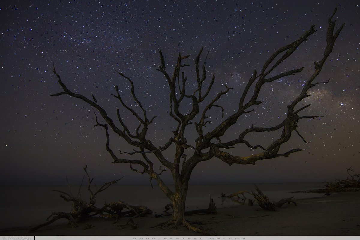 DStrattonPhoto's tweet image. Driftwood Constellations
Not long ago the people of this world believed that the stars where Gods!
