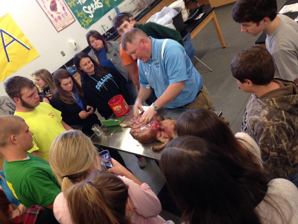 Collins FFA tweet media