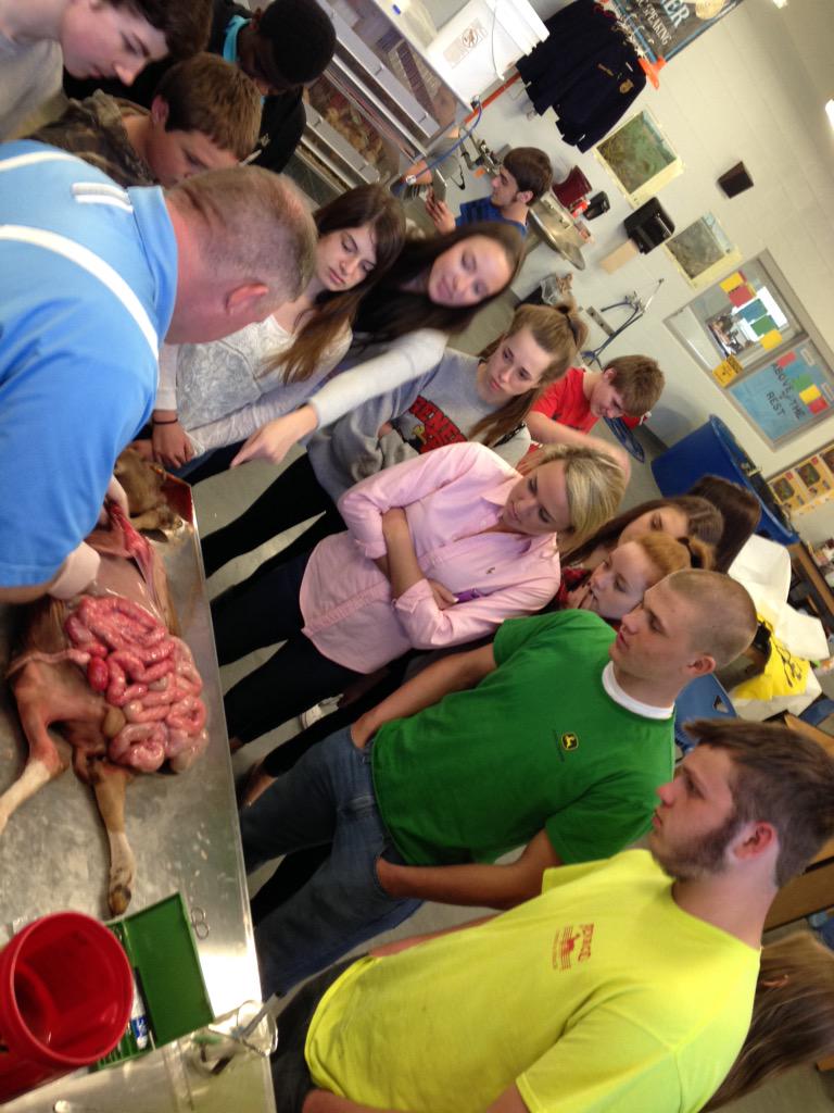 Collins FFA tweet media
