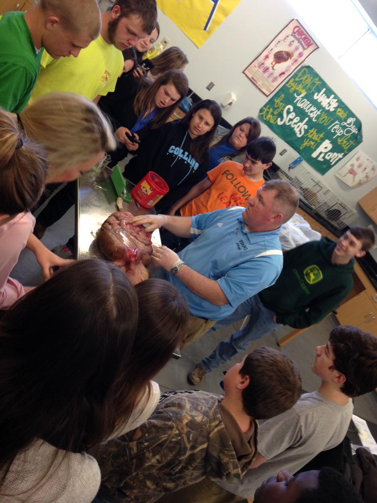 Collins FFA tweet media