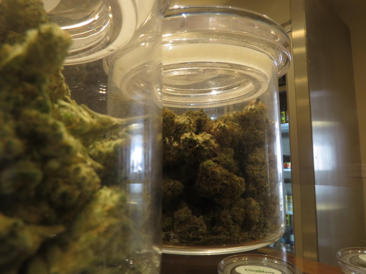 PintSzPorcupine's tweet photo. Boulder, CO was an awesome stop on the #RoadTripToPycon. #legalcannabis #codingwhilehigh http://t.co/8W8X81ZSQa
