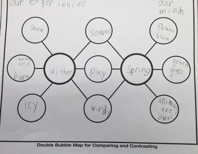 double bubble map template double bubble map template