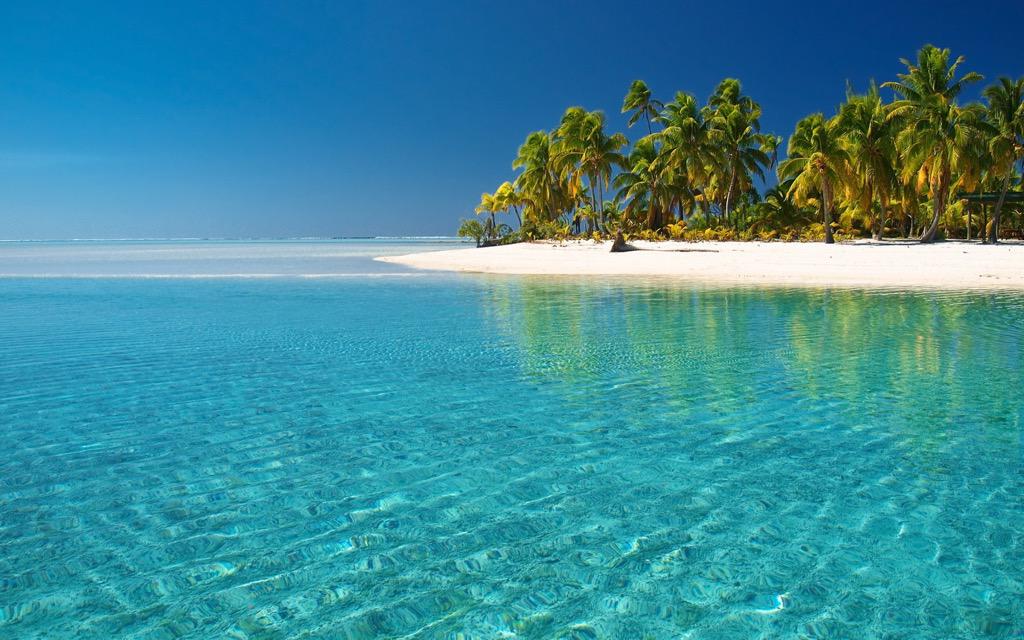 _Amazingg__ tweet picture