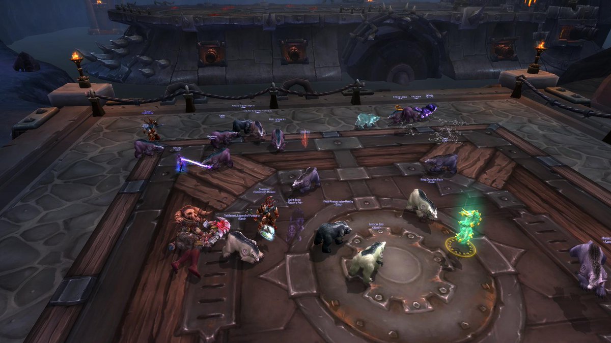 20 man druid raid slaied the iron maidonz G_G