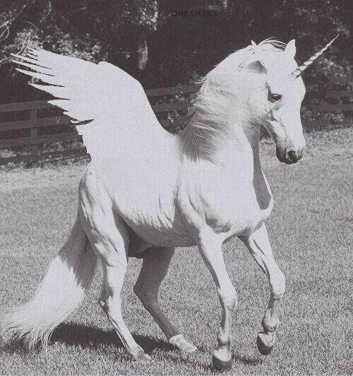 delicatepixie's tweet photo. irl picture of me!! http://t.co/z2a4ZsL3AR