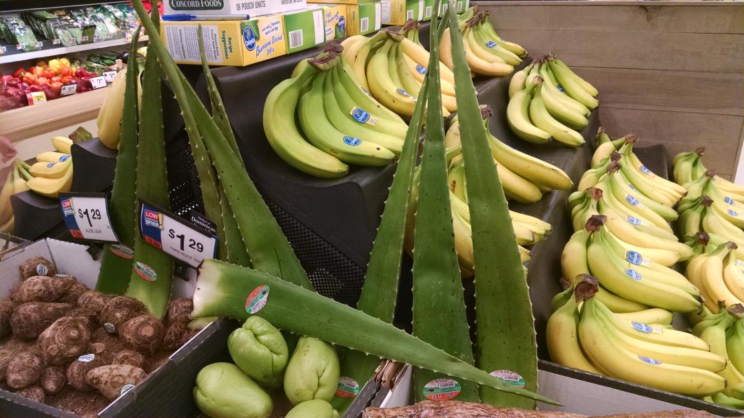 RESOFAME's tweet image. Wednesday. Watch out.