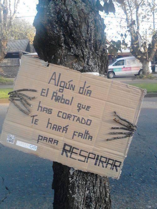 Ecogranjero's tweet photo. Basta de deforestación!!! http://t.co/YqNWH15fzM