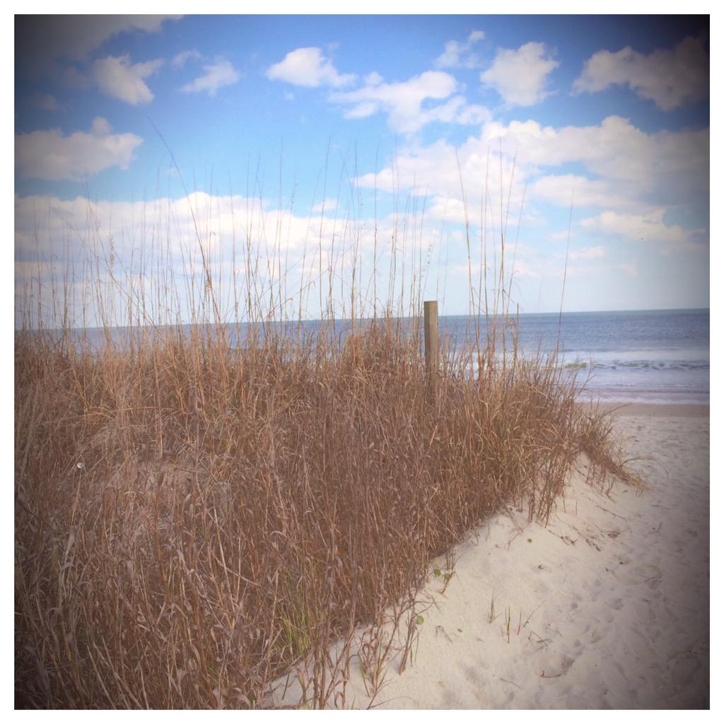 abailey_AFLM's tweet image. There is nothing like the sound of the ocean. ☀️#springbreak15