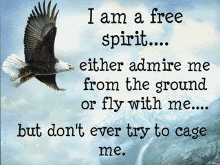 patchouli123's tweet photo. http://t.co/FHWOwliLSU
#patchouli #freespirit #essentialoils #natural #organic http://t.co/O9kuc1AKc2