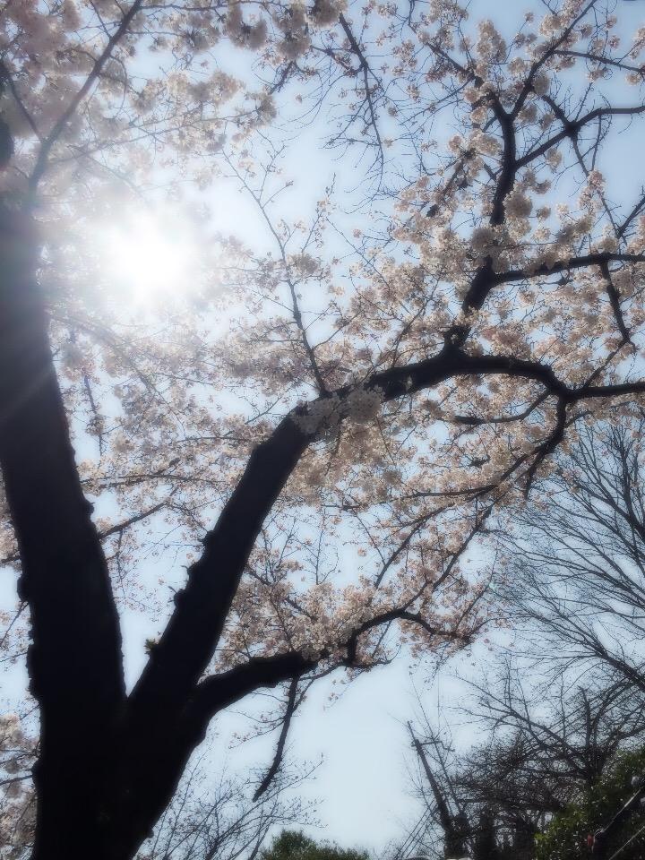 0217kentarodesu's tweet photo. めーーーーちゃ楽しかった

ほんでめーーーーちゃねむい
寝る
おやすみ http://t.co/WXgEzk0hAp