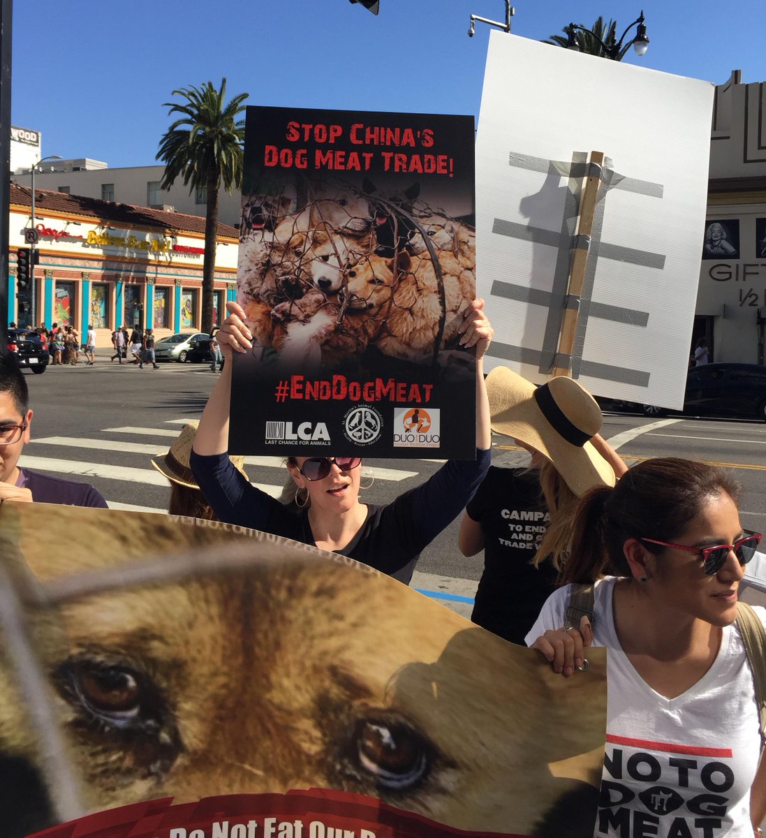 Help stop #YulinDogMeatFestival. If torturing&amp;eating dogs sounds bad, pls sign. #NoToDogMeat change.org/p/mr-chen-wu-y…