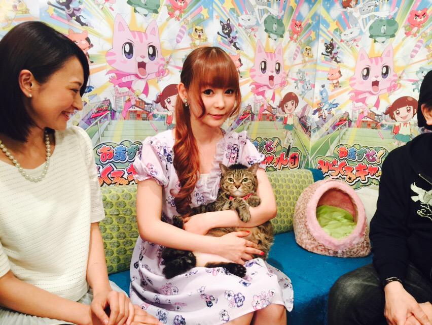 تويتر 周年の中川翔子 على تويتر いよいよ今夜6時45分から Eテレではじまる おまかせミラクルキャスト団 マミタス様がアニメになります 猫いっぱいなアニメ 絶対みてね 録画もリアルタイムも マミタス様すごかりし よろしくお願いしマミタス