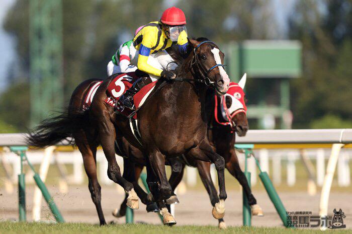 競馬ラボ イスラボニータは左前に腫れと熱感がみられたため 産経大阪杯を回避 近日中に山元トレセンへ放牧に出るとのことです Http T Co W4lnfkofcf 競馬 産経大阪杯 Http T Co Ktiemliec9