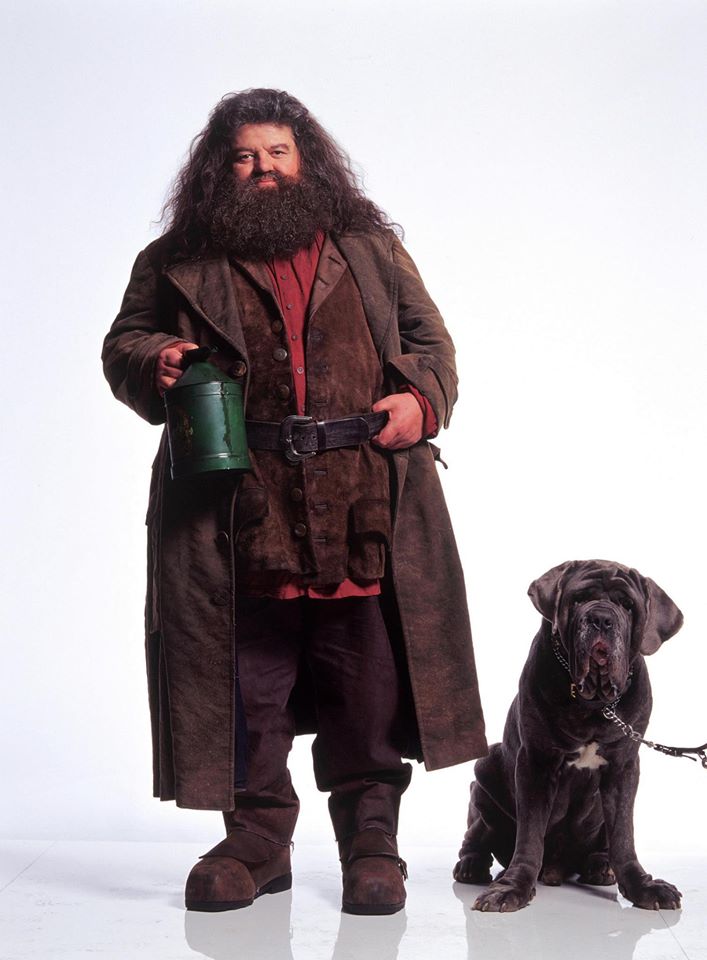 Happy birthday to Robbie Coltrane, personally hand-picked by J.K. Rowling to play Hagrid in the Harry Potter series 
