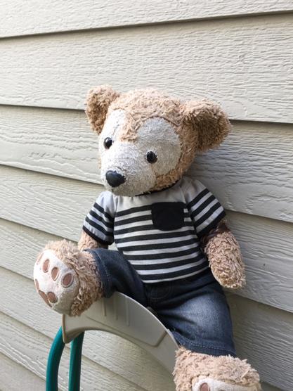 Duffy_theBear's tweet photo. doing some yard work while the sun is out! hehe #hardworkingbear http://t.co/WDIOWQaupF