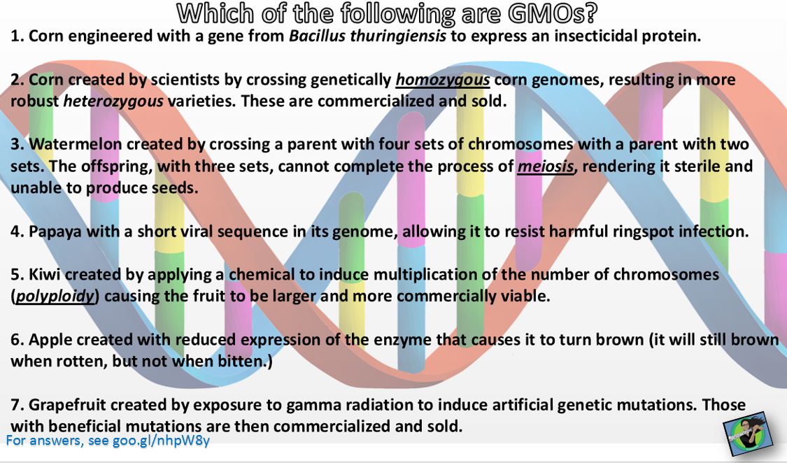 Eingebetteter Bild-Link