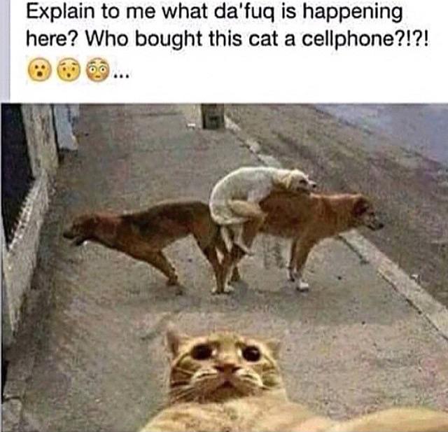 😩😩😂😂😭😭 http://t.co/Va55L73NnM