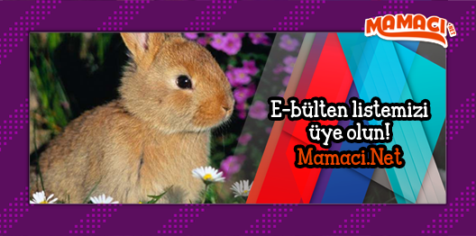 Kampanyalardan anında haberdar olmak için e-bülten listemizi üye olun; bit.ly/1zSZaag #kampanya #indirim