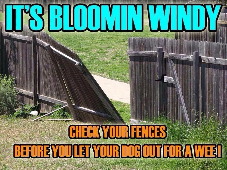 WMP_Dog's tweet photo. What horrible weather overnight for 'British Summer Time'! Make sure you check your fences are still intact 👍🐾🐺🐶 http://t.co/2fLpXGvCTd