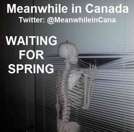MeanwhileinCana's tweet photo. Just a Canadian waiting for spring...
#MeanwhileinCanada #Canada http://t.co/1d3W9V5PND