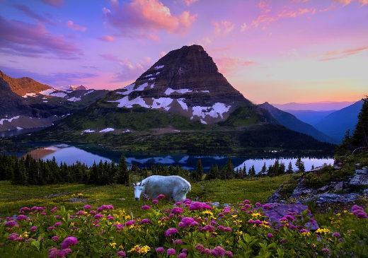 dailykos's tweet photo. National Parks have $11 billion worth of delayed maintenance http://t.co/GsxRiIvZaR http://t.co/Z9q3JmY622