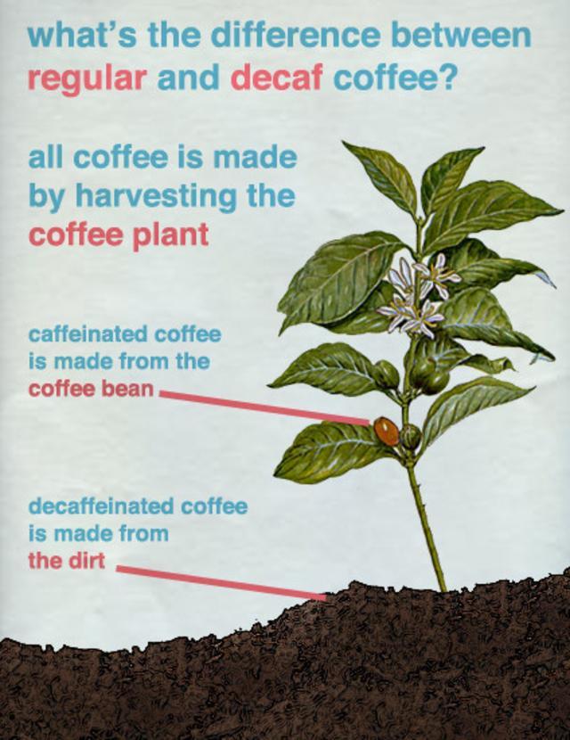 The official difference between regular and decaf coffee..
..as told by my great great great grandad ;)