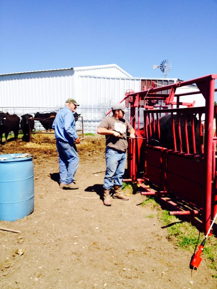 superiorlawn87's tweet photo. Our Sunday afternoon #
Western http://t.co/wz53gfgmpl