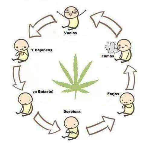 UnRastaman's tweet photo. Todo es un círculo vicioso ;) http://t.co/KOy5ntVq1g