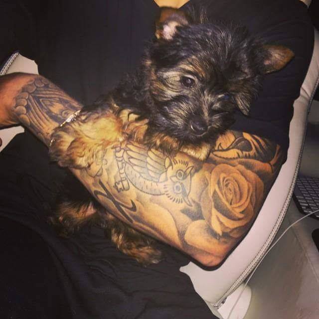 MaconhaDoJusb's tweet photo. Cachorrinha Mais fofa desse mundo 😍😍 Sortuda também 😘 Esther 💜 http://t.co/i17VtE6yPJ