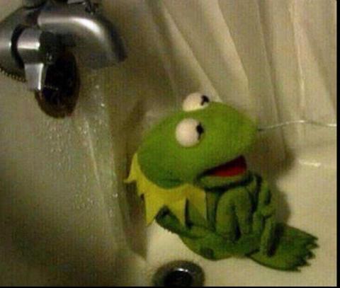 CBZgAsHVEAA6lMh.jpg:large