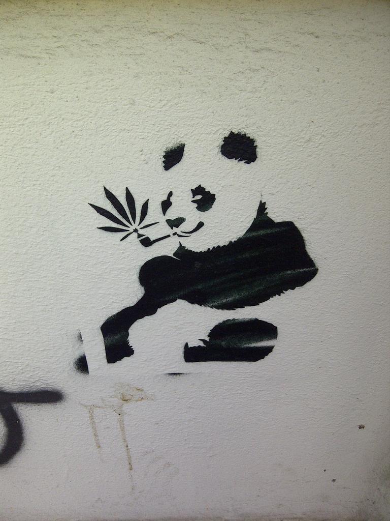 LunaRic216's tweet photo. @TheSkunkPanda #pandatag #graffiti #stencilwallart #pandapaint http://t.co/obQ8KUiPiE