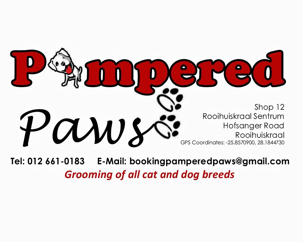 Pampered__Paws's tweet photo. As of this week we will be selling @Montegopets in our shop. ! We are proud to be selling such an amazing brand! http://t.co/oHSckvLwZx