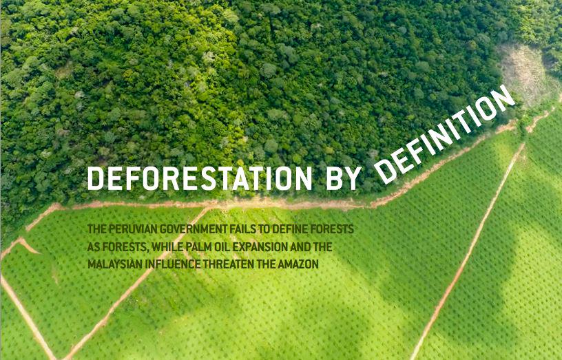 globalforests's tweet photo. Report from @EIAinvestigator exposes illegal #deforestation of Peru's #Amazon for agriculture http://t.co/Q3AYHtXbMX http://t.co/wS353QBfqX