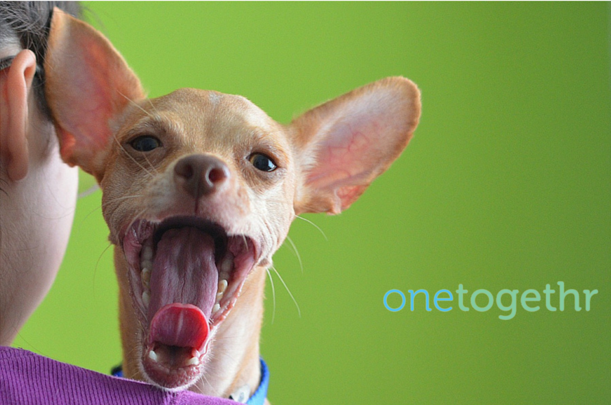 OneTogethr's tweet image. Fixed pets live longer, healthier lives. Support @SpayEmAllYall by voting at ow.ly/LguB0 #waco #onetogethr