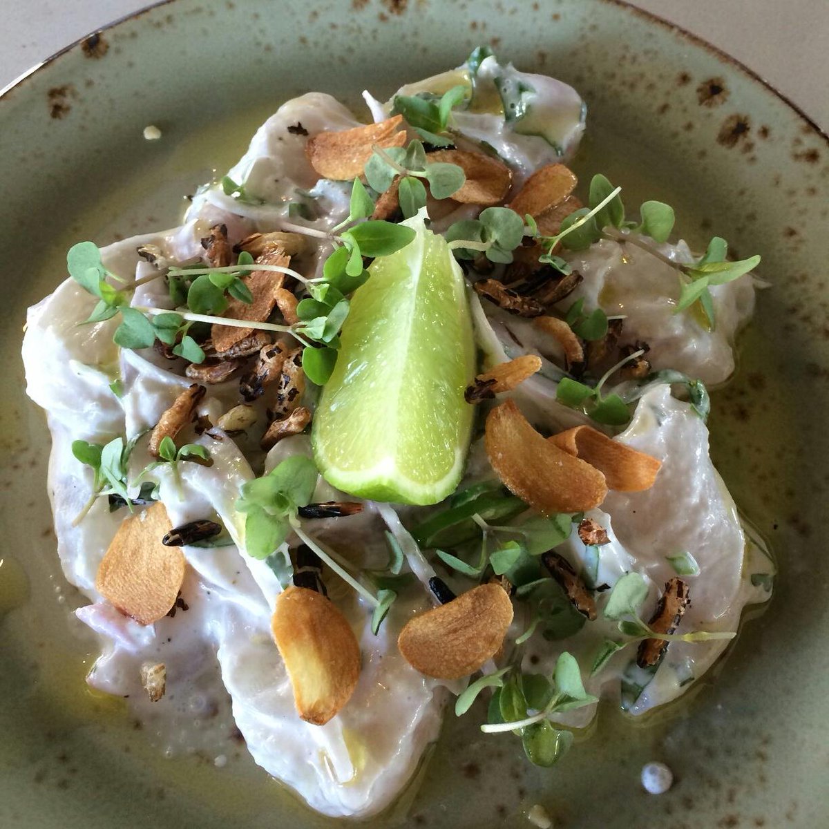MattRepublica's tweet photo. Coconut snapper ceviche @captainbaxtersk #raw #newmenu http://t.co/MLvvhvo095