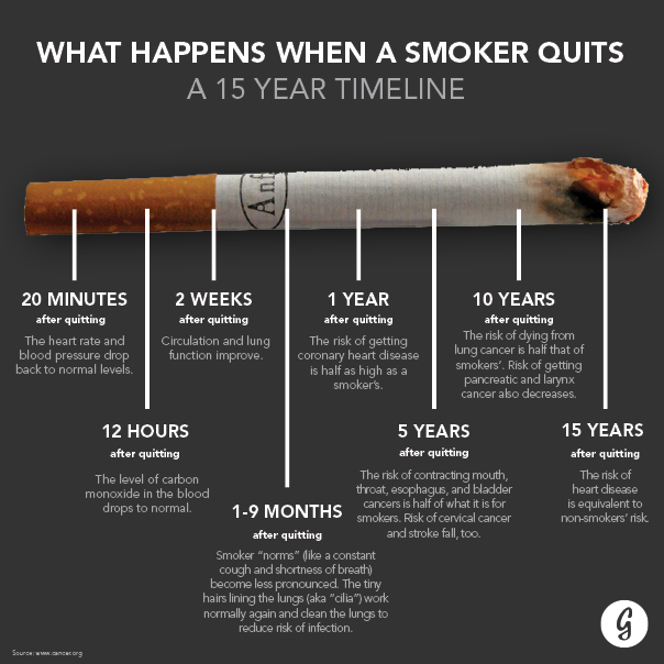stopsmokingidea's tweet photo. what happens when a smoker quits 15 year timeline .
#health #healthcare #cancer #quitSmoking #tobacco http://t.co/kGvS81qsW6