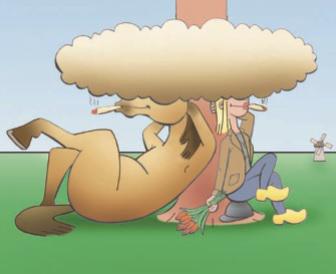 Equinecom tweet picture